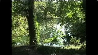The Grove