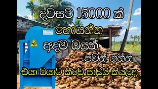 පොල්ලෙලි කැබලි වයාපාරයක් පටන් ගමුද #ibusiness #business ideas#homebusiness #businessinspiration