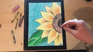Georgia O&rsquo;Keefe Close Up Flower Drawing