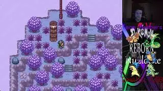 Who Knew Tapu's Were So Scary Pok&eacute;mon Reborn Nuzlocke Episode 68