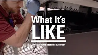 What It's Like: Undergraduate Research Assistant