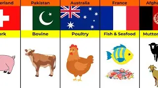 Meat Around the World | Surprising Facts & Global Trends You Didn&rsquo;t Know