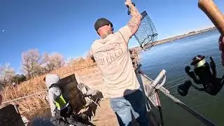 Palmdale fin and feather Club Fishing at the Lake
