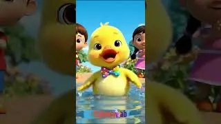 Paytak Paytak - &Ouml;rdek 🐥 #shorts