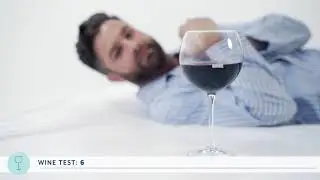 Idle Sleep Mattress Wine Test
