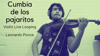 Cumbia de los pajaritos | Violin Live Looping Cover | Leonardo Ponce