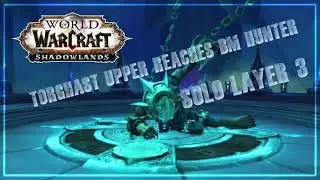 Torghast Upper Reaches Solo Layer 3 BM Hunter