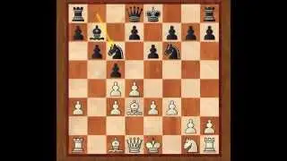 GELLER vs EUWE; partidas en español
