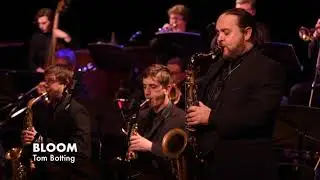 Auckland Jazz Orchestra - Bloom Live sampler