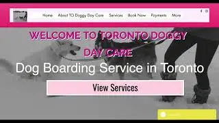 Dog Boarding Service in Toronto