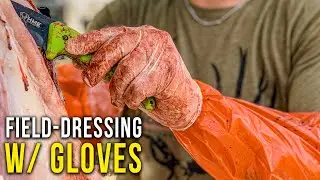 Why Wear Gloves When Field Dressing Game?