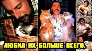 ФРЕДДИ МЕРКЬЮРИ  ШОКИРУЮЩЕЕ ОТКРЫТИЕ О ЕГО ТАЙНОЙ ЖИЗНИ!