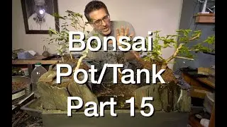 Pot Tank 15: Dave's Bonsai E186