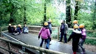 Low ropes