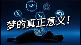 梦的真正意义 | 为什么我们做梦，大脑在试图告诉我们什么？