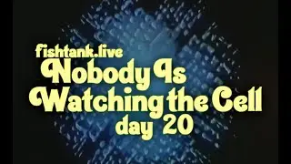 Fishtank Digest Season 2 Day 20: Nobody's Watching the Cell (Recap)