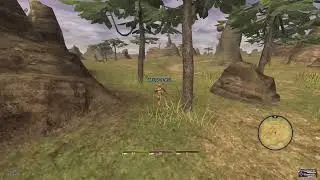 FFXI Mission 1-1 (Windurst)