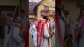 Banda broscautii 2017