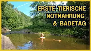 4 Tage Outdoor-Abenteuer nur mit pflanzlicher und tierischer Notnahrung - Tage 3 und 4