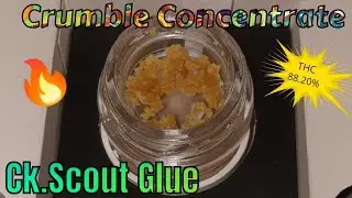 #2 Ck Scout Glue Crumble Concentrate (Official Product Review) Sanctuary Dispensary Product