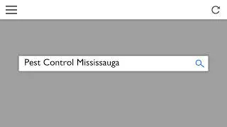 GTA Toronto Pest Control - Mississauga - 647-799-2380