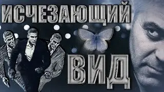 Да здравствует Клуни! Кинозвезда. Политик. Гражданин.