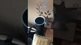 Alexa Shuts Off After Asking About the CIA