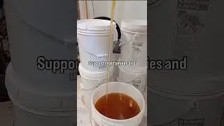 A Family Approach to Sustainable Beekeeping