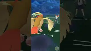 Pidgeot beats G.fisk (yes, really) 🤯 | GO Battle League Season 13 | Great League