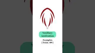 Vexillary aestivation examples 🌸|| #neet2025 #morphology #aestivation #flower #strategy #revision