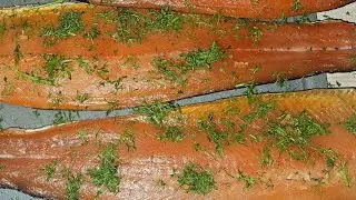How to Cold Smoke Trout & Salmon at Home @RiksFishing 