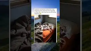 Some Call This Gross&hellip;Dog Owners Call It Love 🐶🛏️