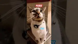 Спасибо, хорошего дня! #puffpuff #shorts