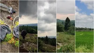 Horap Forest Area - Untouched Beauty