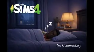Chill While I Play Sims 4 - Himothy Carter (No Commentary)