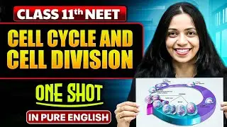 CELL CYCLE AND CELL DIVISION | Class 11th ONE SHOT | Complete NEET Botany in Pure English