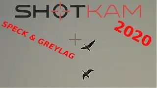 Goose Hunting  ShotKam 2019-2020 Long Range/ гусиная охота большой диапазон / Caccia alla oche