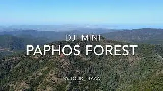 Paphos Forest