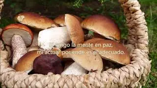 LA RA&Iacute;Z DEL CONFLICTO MENTAL
