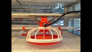 Highly efficient feeding system of automatic harvesting broiler cages