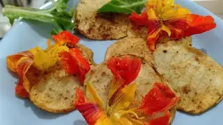Apple Ravioli Recipe- Raw Vegan (Review of Cara Brotman's Ravioli)
