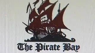 В Швеции арестован учредитель Pirate Bay