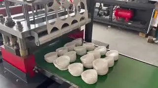 Fully Automatic / Food Container Take Away Lunch Packaging/Lid/Clamshell Thermoforming Machine