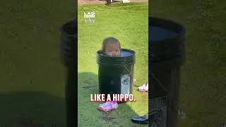 Малышка хотела провести свой солнечный день в этом ведёрке 🤣 (🎥: TT/ kalenabalingit via BViral)