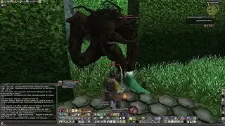 ddo hard  hunt or be hunted duo 09.09.25