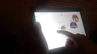 Agatio mucha zjada muche#1