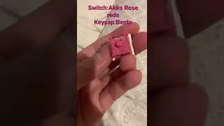 Akko Rose Reds Stock Sound Test