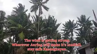 TS Auring, Tropical Storm Auring