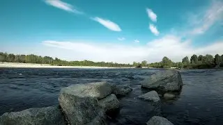 Remote work music -  Sounds of nature