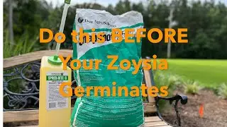 Prevent Weeds in Landscape Beds // Snapshot Pre-emergent // Post Zoysia Seeding Application